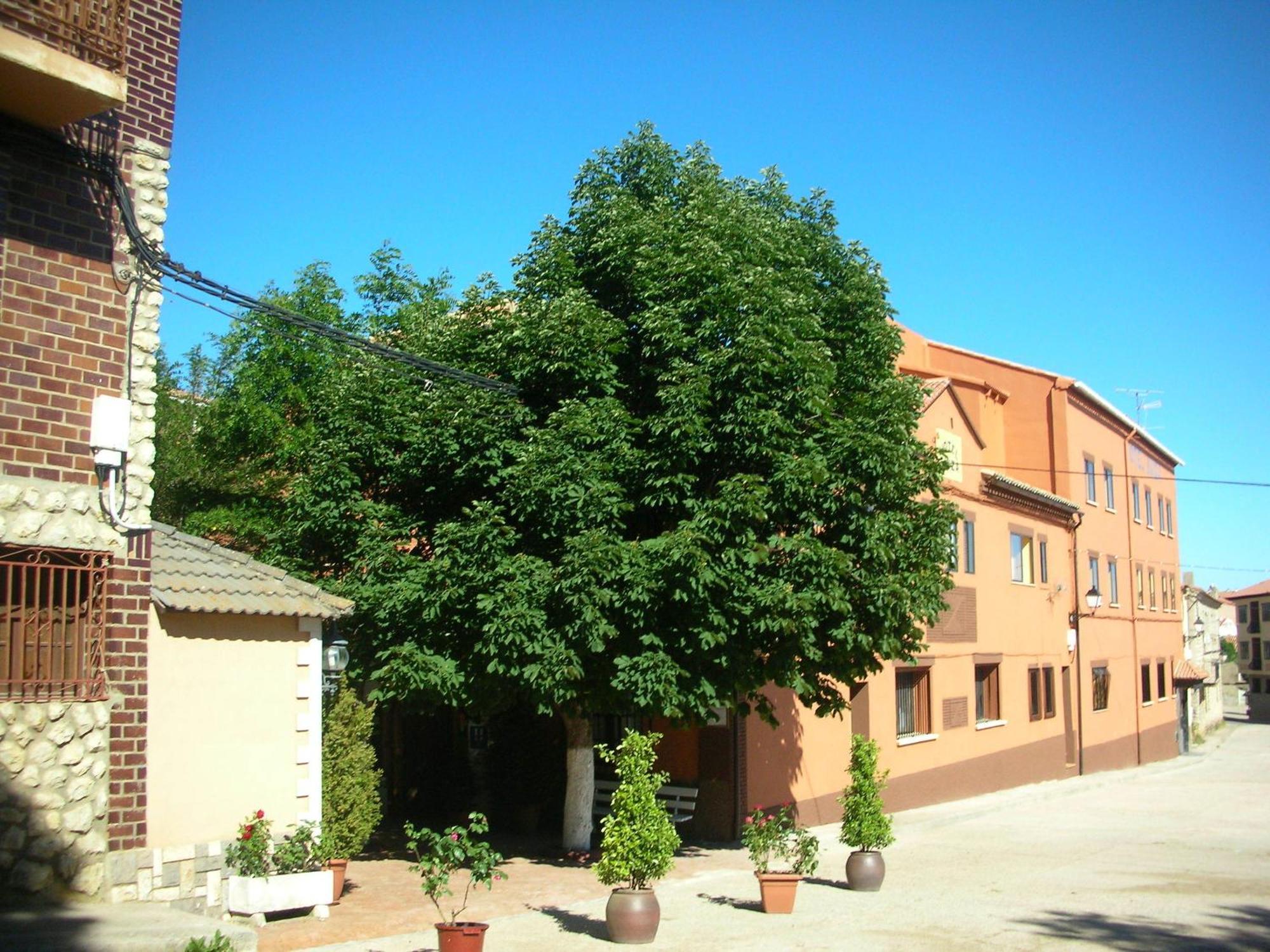 Hotel Suiza Bronchales Esterno foto